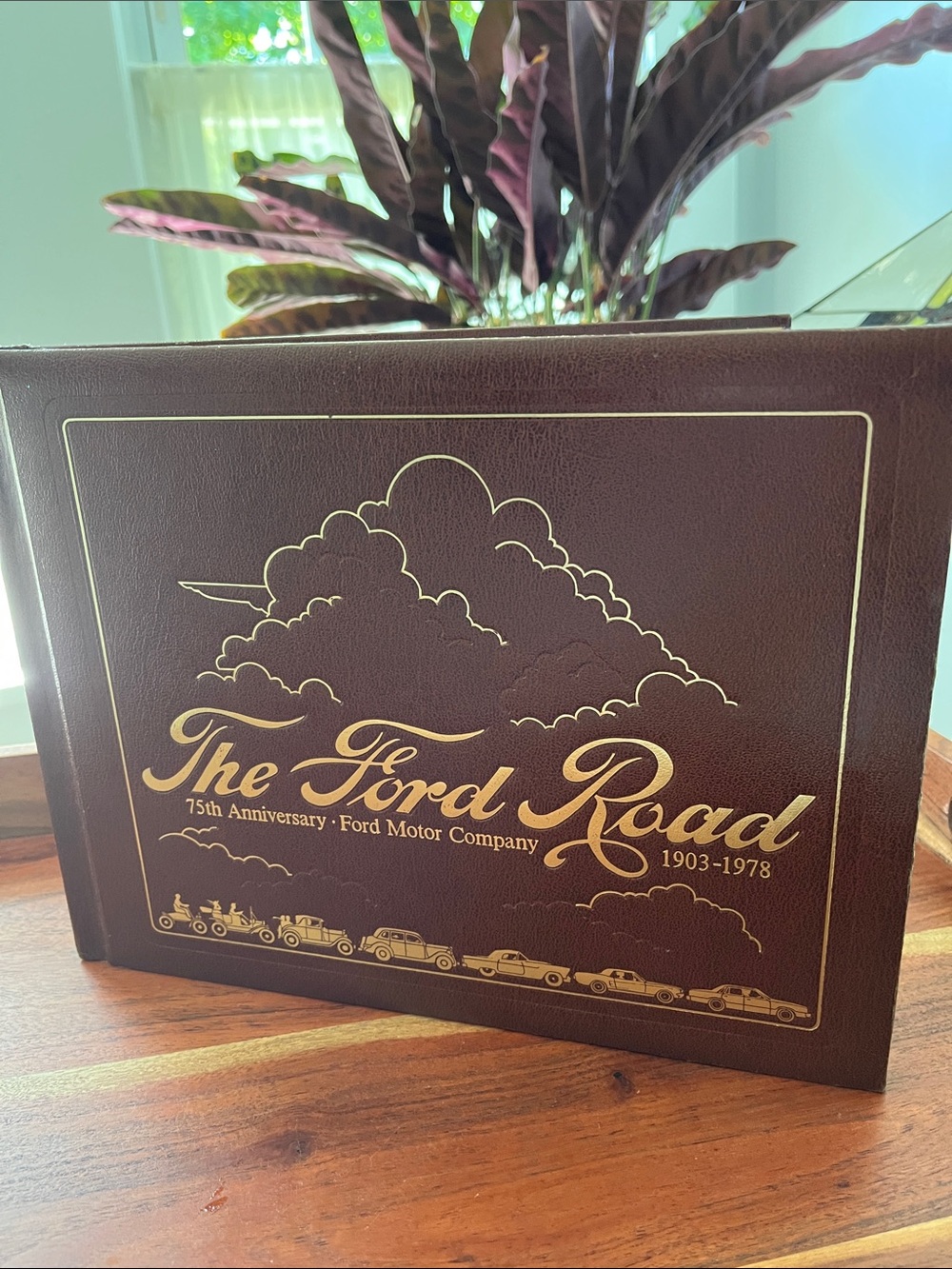 THE FORD ROAD